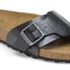 Catalina Birko-Flor Graceful Licorice